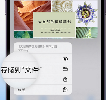 固始apple维修中心分享iPhone文件应用中存储和找到下载文件