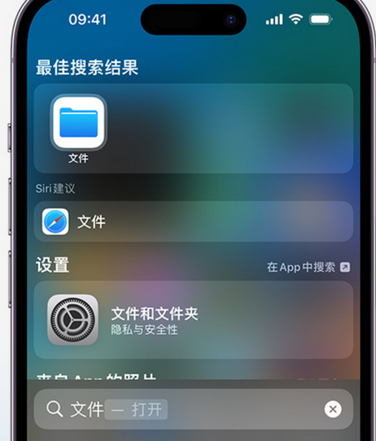 固始apple维修中心分享iPhone文件应用中存储和找到下载文件