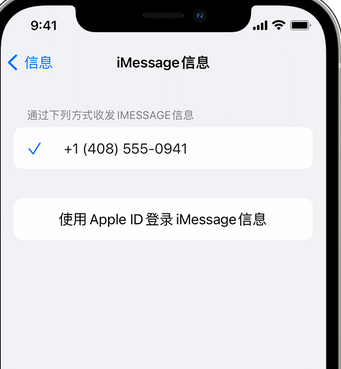 固始apple维修iPhone上无法正常发送iMessage信息