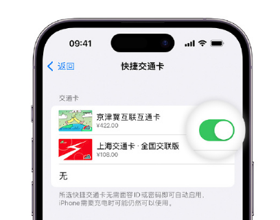 固始apple维修点分享iPhone上更换Apple Pay快捷交通卡手绘卡面 