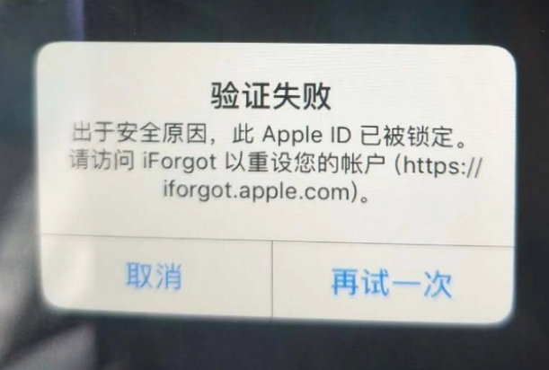 固始iPhone维修分享iPhone上正常登录或使用AppleID怎么办 