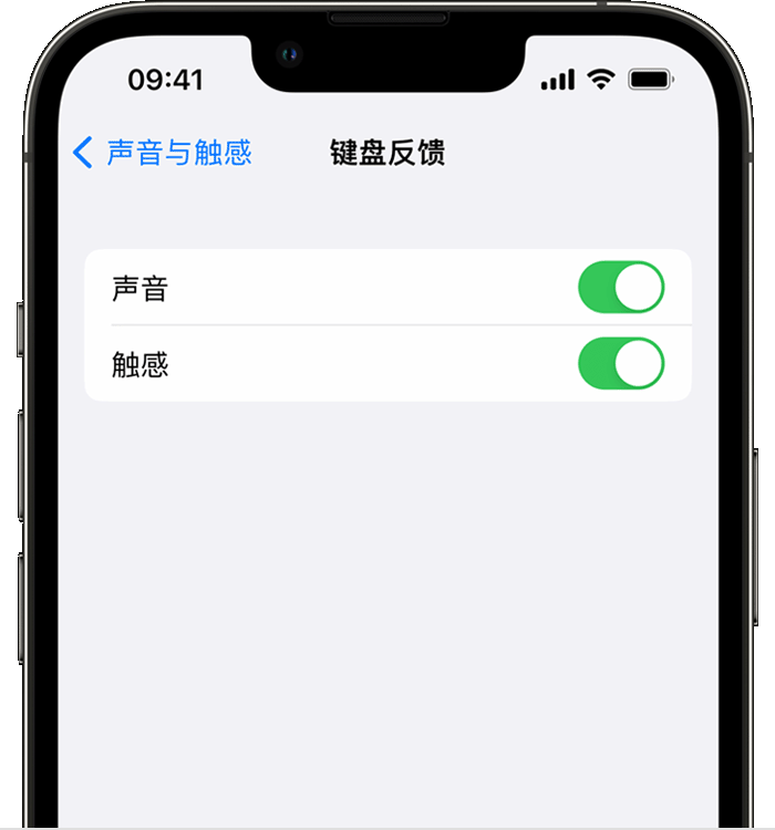 固始苹果14维修店分享如何在 iPhone 14 机型中使用触感键盘 