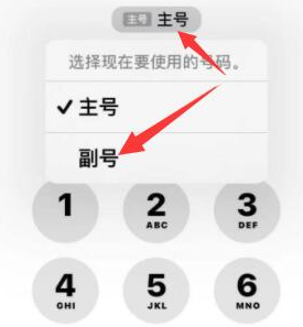 固始苹果14维修店分享iPhone 14 Pro Max使用副卡打电话的方法 