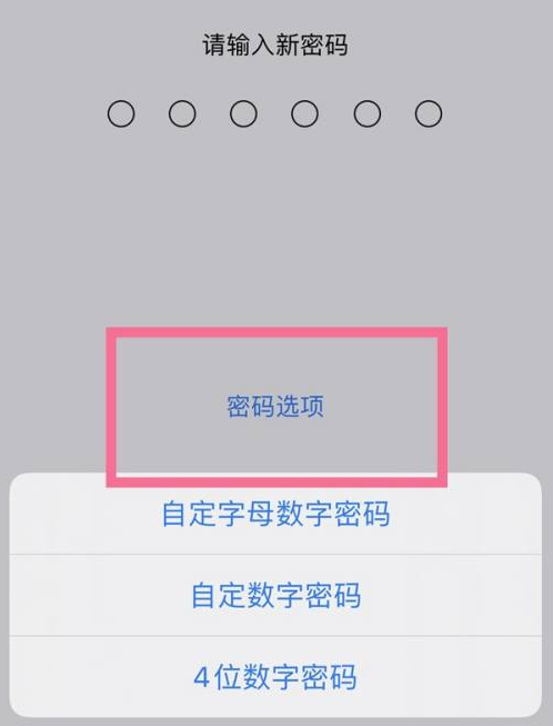 固始苹果14维修分享iPhone 14plus设置密码的方法 