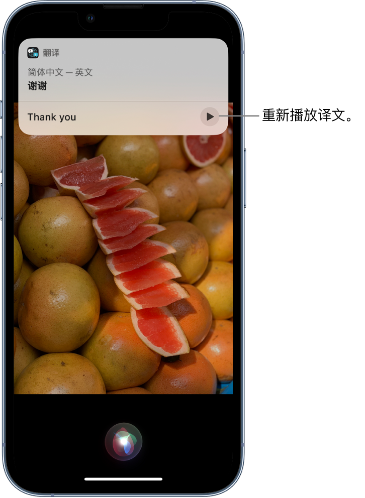 固始苹果14维修分享 iPhone 14 机型中使用 Siri：了解 Siri 能帮你做什么 