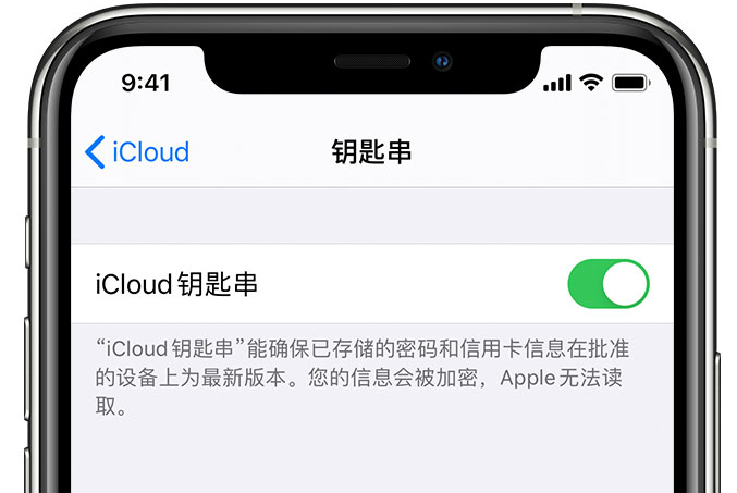 固始苹果手机维修分享在 iPhone 上开启 iCloud 钥匙串之后会储存哪些信息 