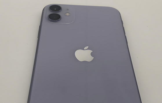 固始苹果11系统维修分享iPhone11手机系统崩溃无法开机如何解决